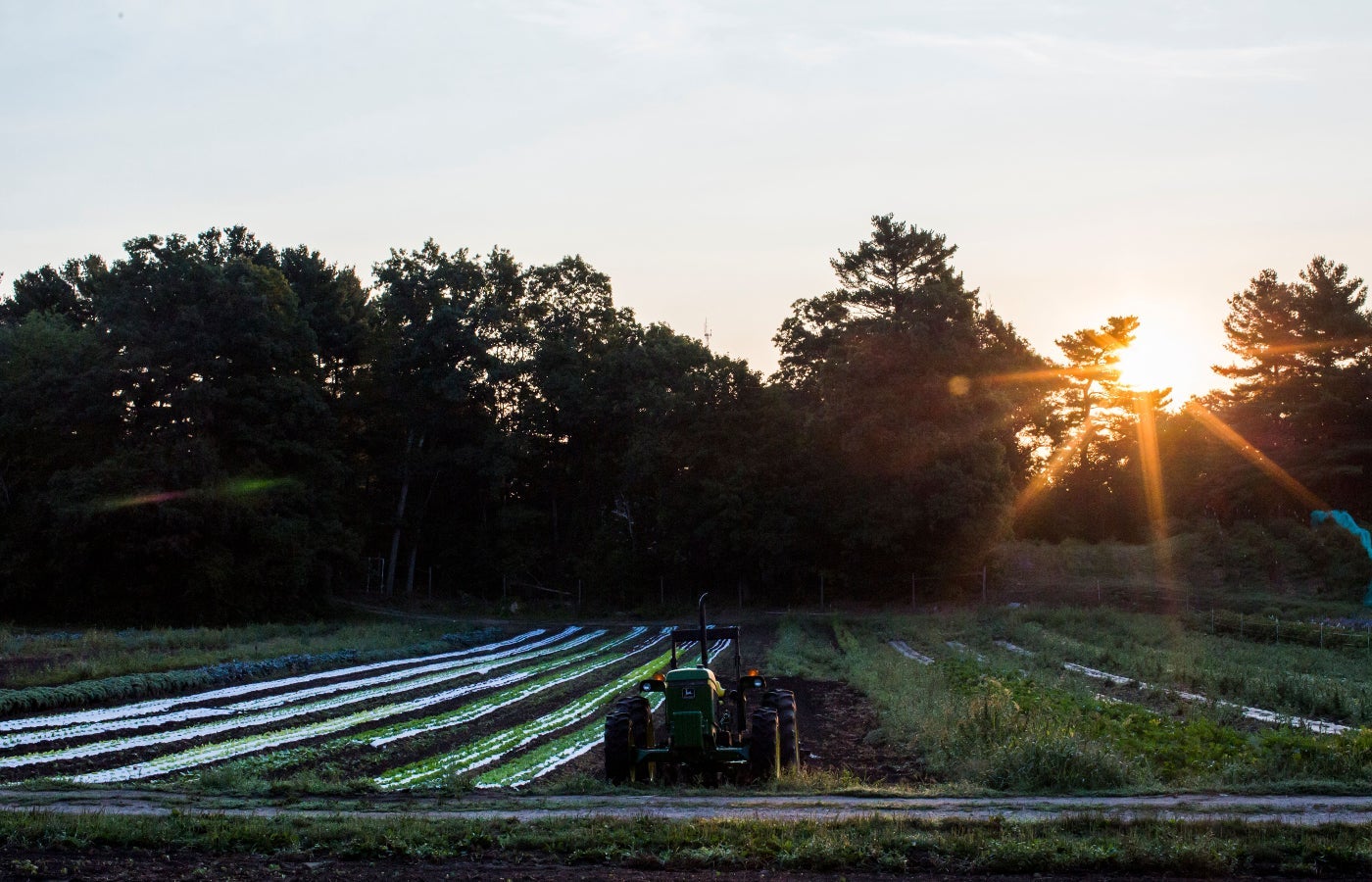 Volante Farms: History, Grown from the Ground - Boston General Store