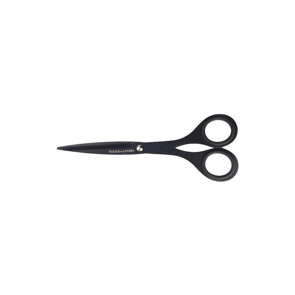 Black stainless steel scissors with black-rimmed finger loops on a white background.