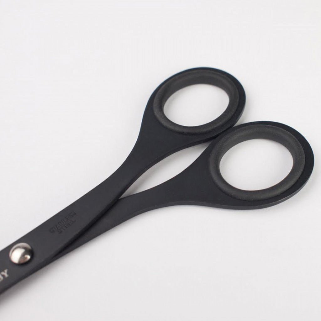 Black steel scissors with circular finger loops and a silver metal pivot screw, shown on a plain white background.