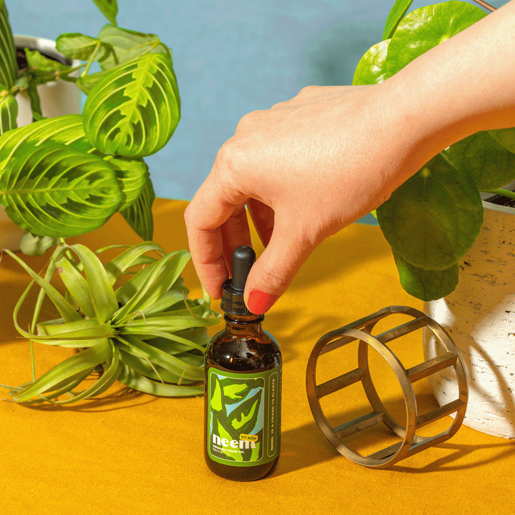 Organic Neem Oil at Boston General Store