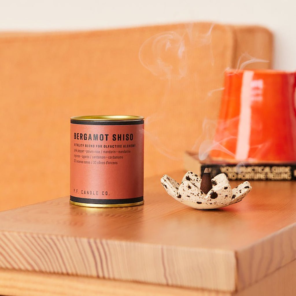 Alchemy Incense Cones Boston General Store