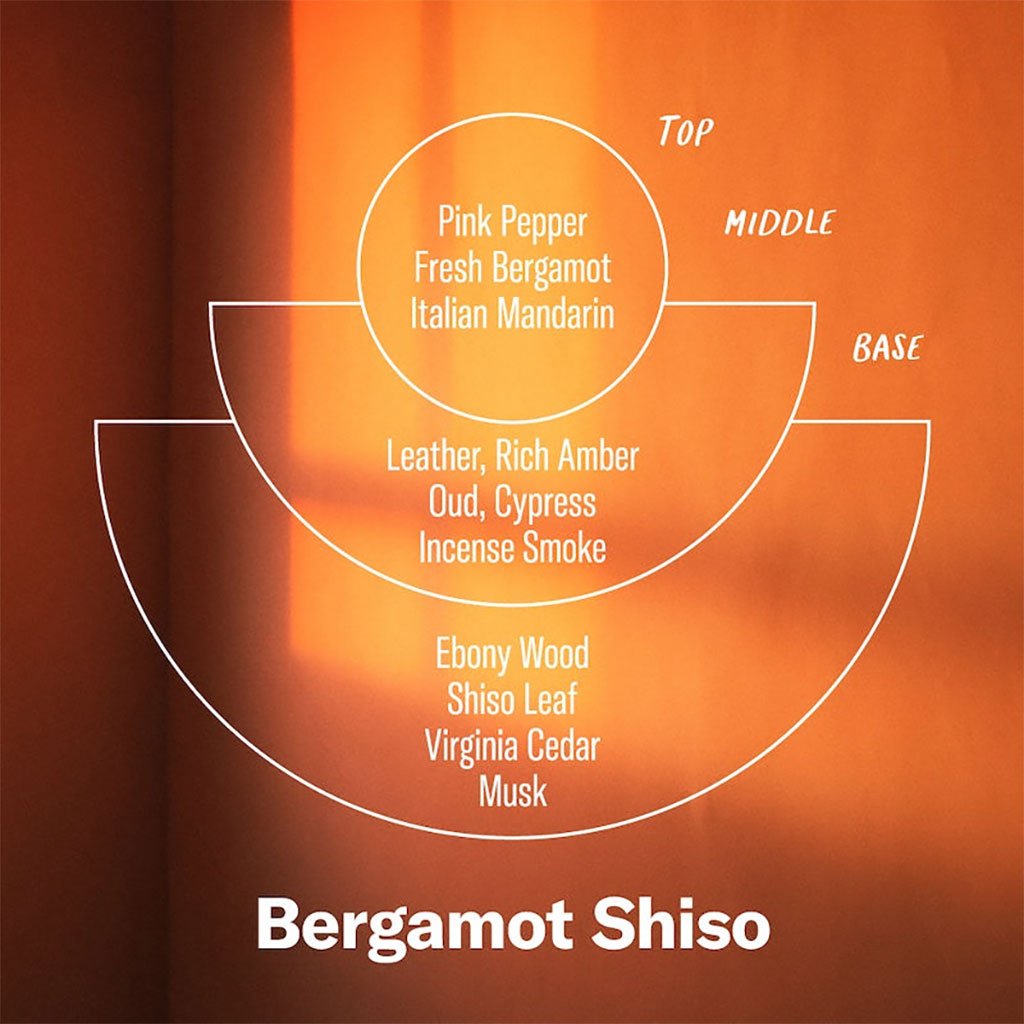 Diagram of Bergamot Shiso fragrance profile with layers labeled on an orange background.