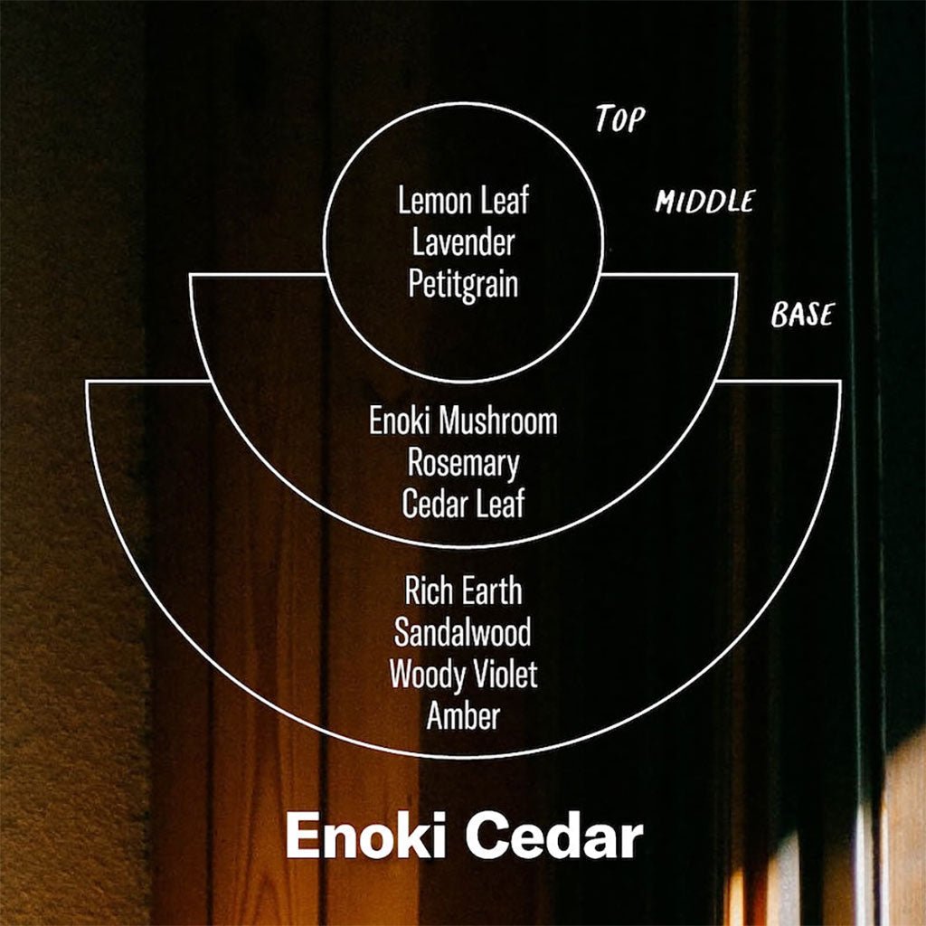 Diagram of Enoki Cedar fragrance profile with wood texture background