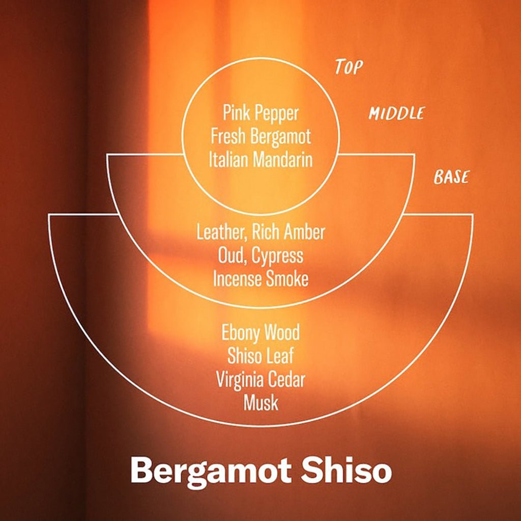 Diagram of Bergamot Shiso fragrance profile with layers on an orange background