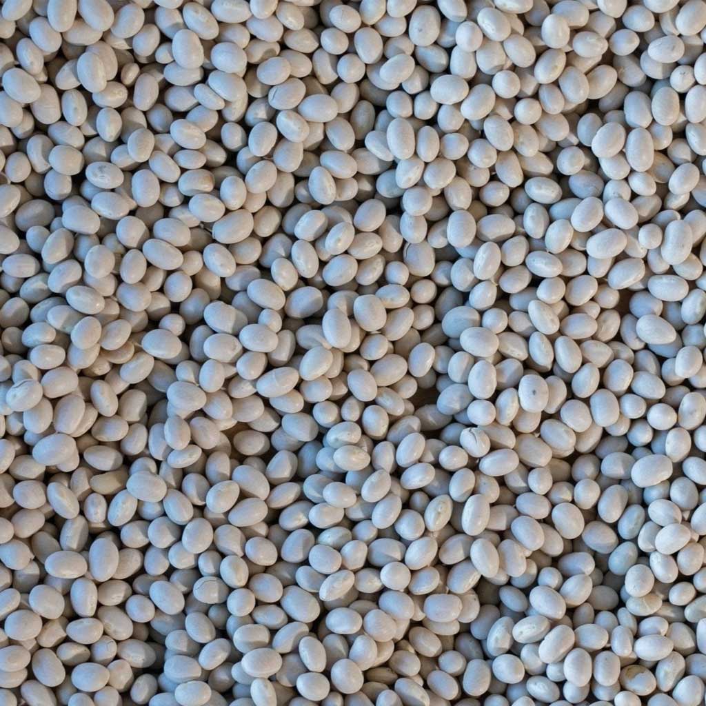 Close-up of white beans
