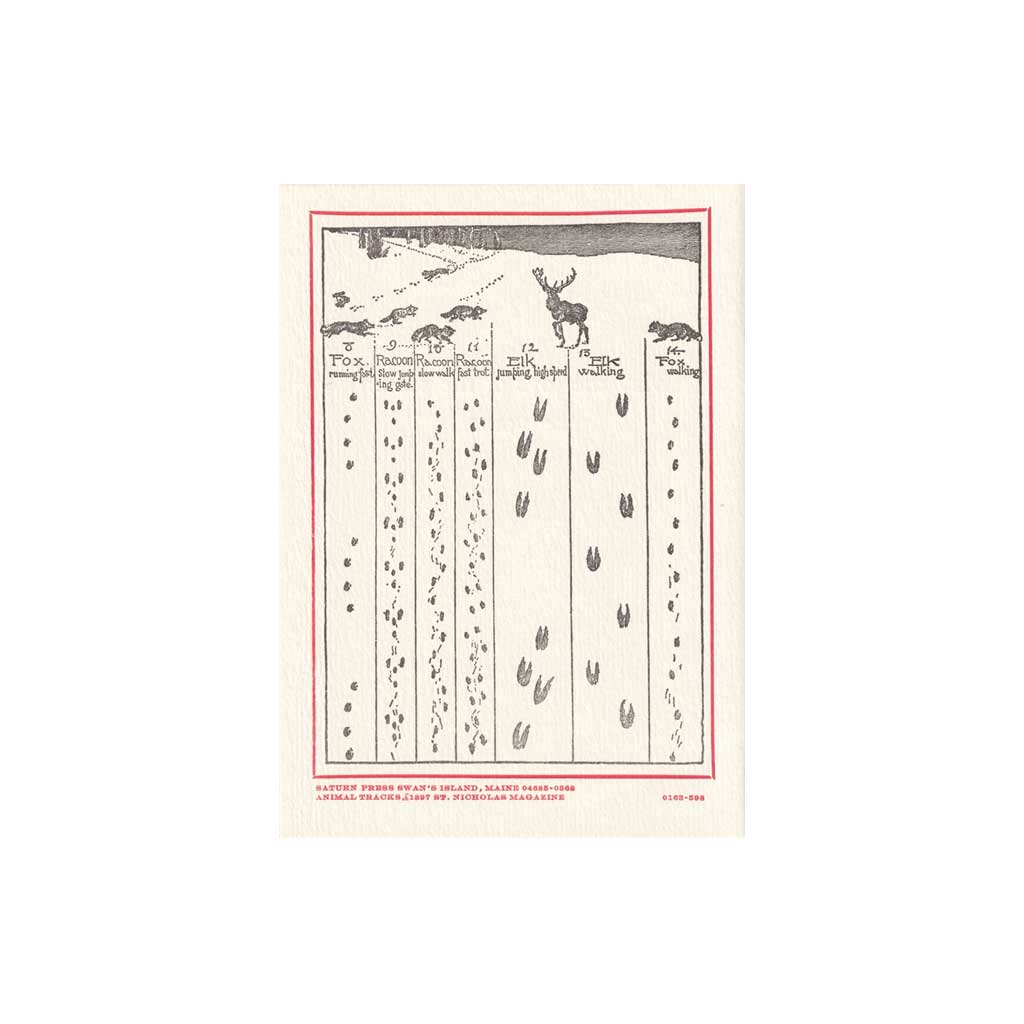 Animal Tracks Holiday Greeting Card Boston General Store