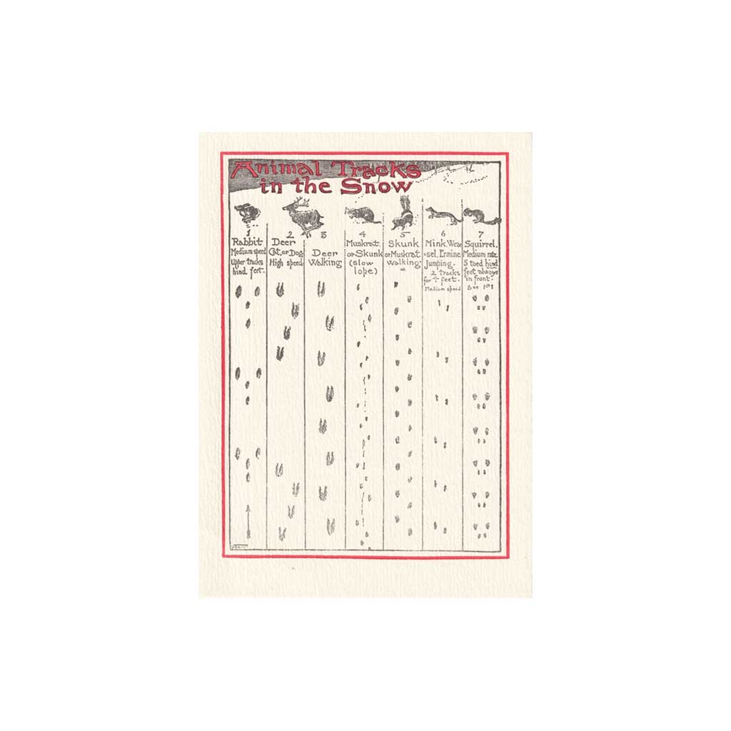 A holiday greeting card featuring illustrations of animal tracks in snow.