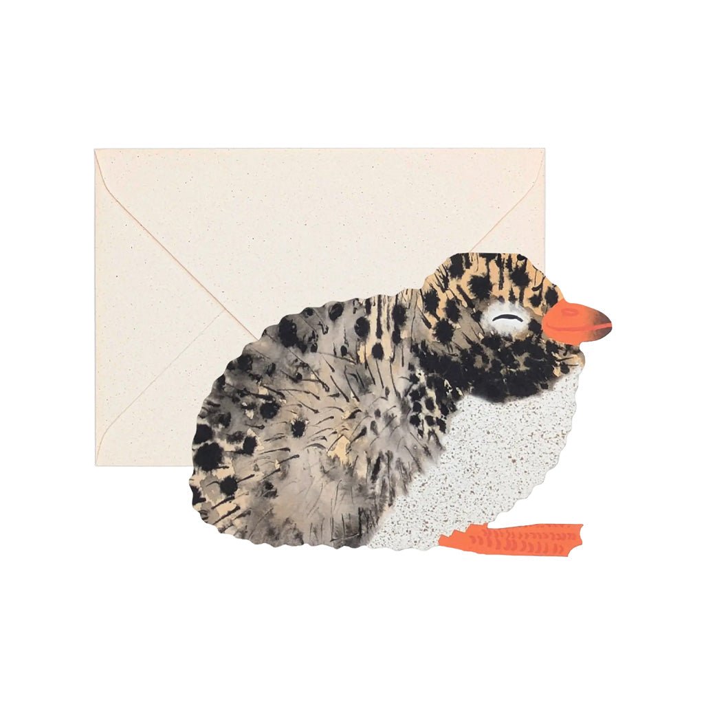 Watercolor Arctic Tern Chick card with ivory envelope on white background