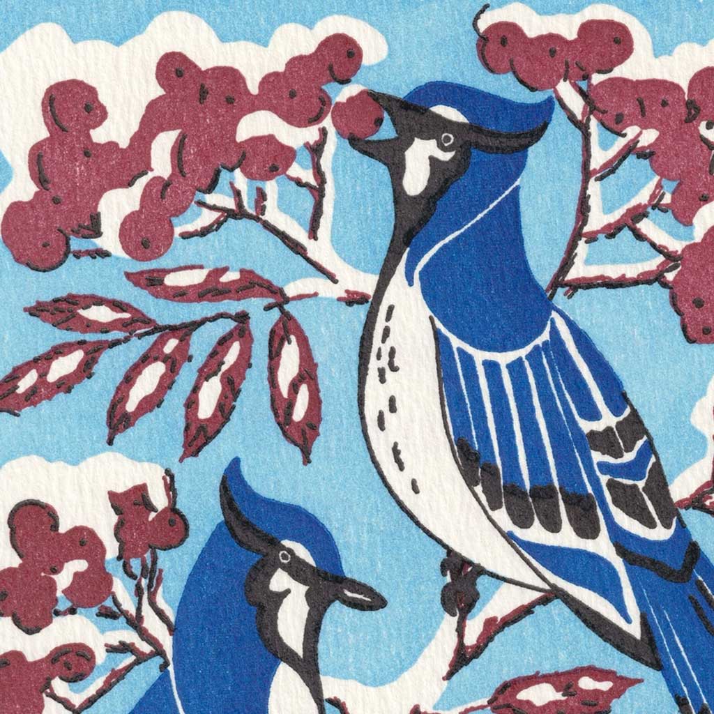 Close-up of blue jays