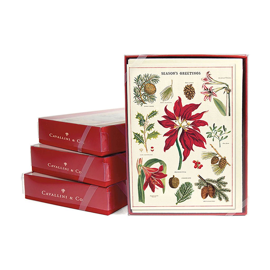 Botanica Christmas Card, Boxed Set Boston General Store