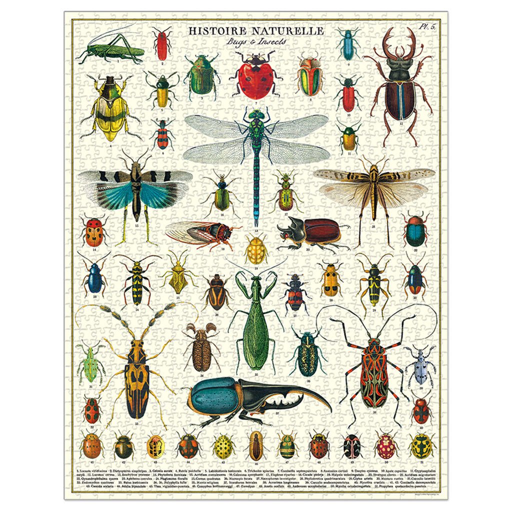 Bugs and Insects Vintage - Themed Puzzle Boston General Store
