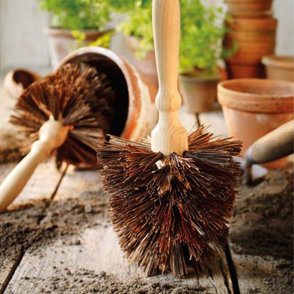 Two wooden-handled garden brushes with dark brown bristles resting on a rustic wooden surface with soil and potted plants in the background.
