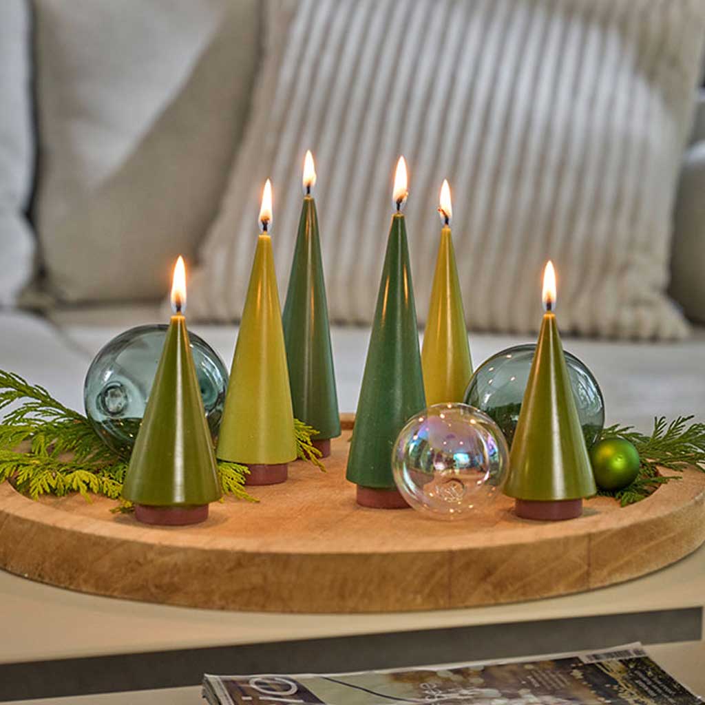 Candle Tree Boston General Store