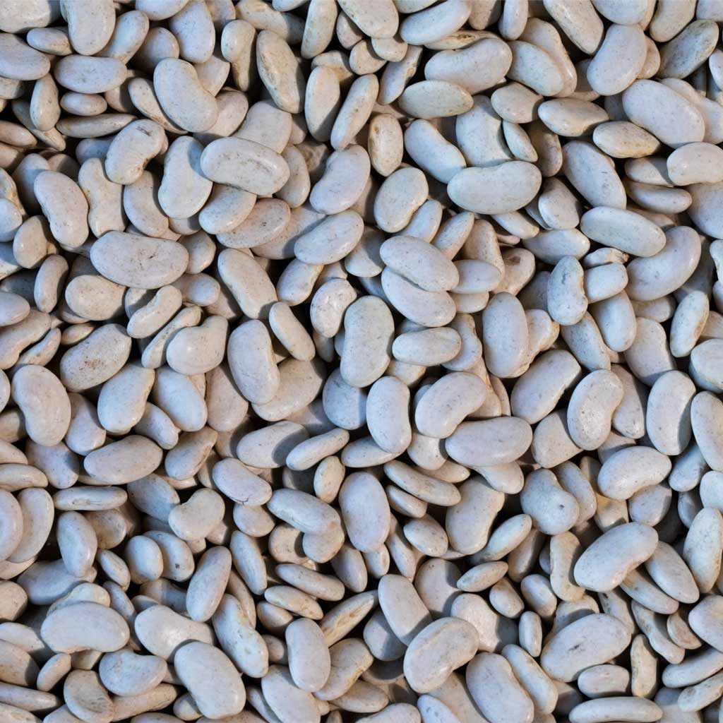 Close up of cassoulet beans