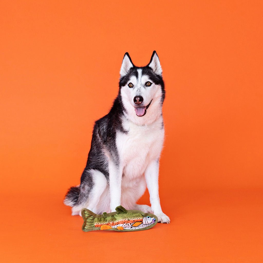 Catch of the Day Durable Dog Toy Boston General Store