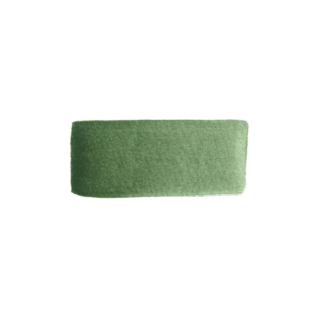 CfM Watercolor Paint - Vagone Green Boston General Store