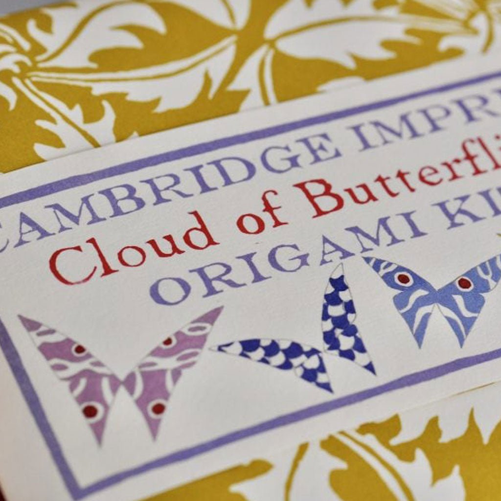 Cambridge Imprint Cloud of Butterflies Origami Kit packaging with decorative patterns.