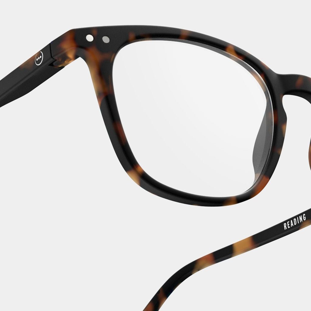 E Tortoise Readers Boston General Store