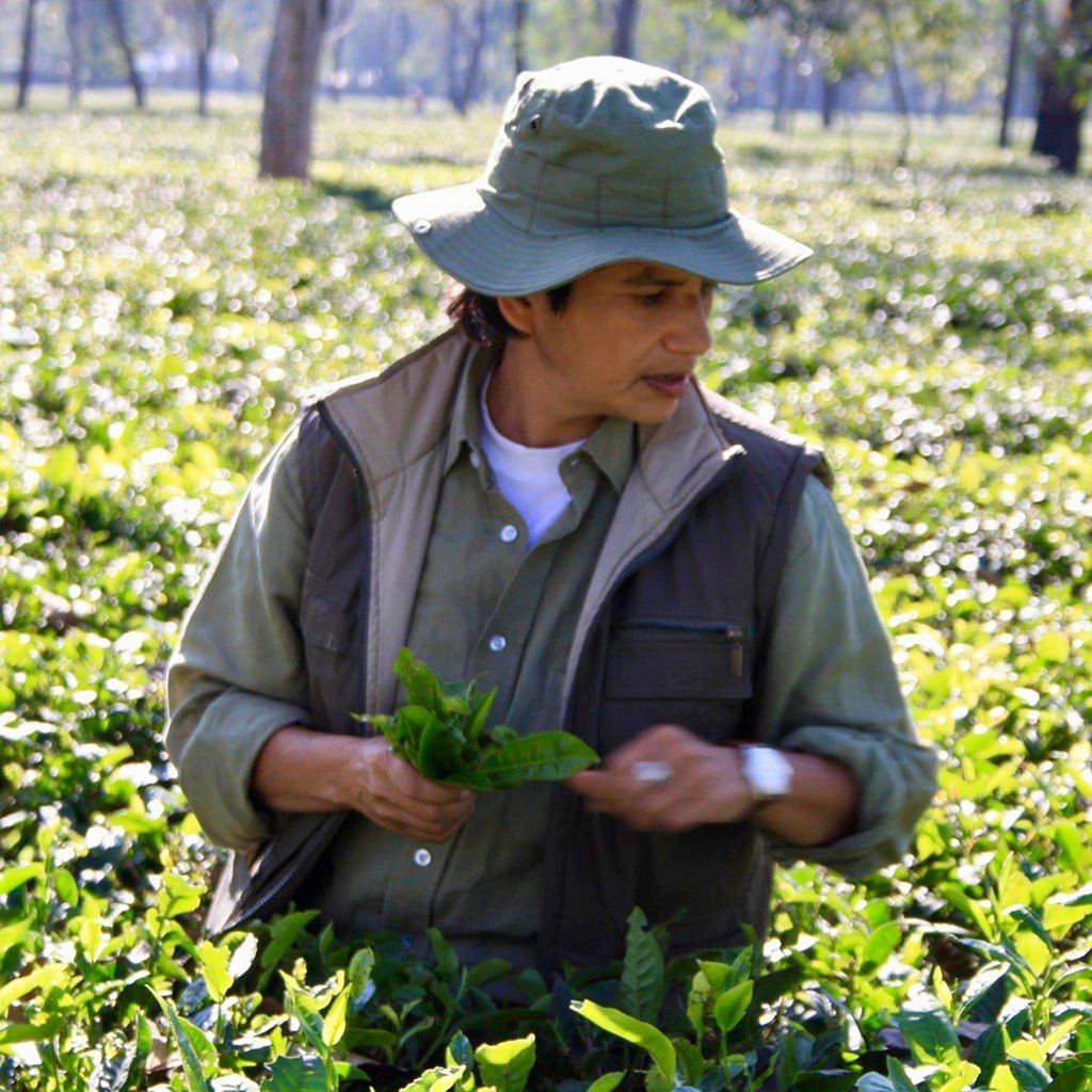 Earl Grey for Elephants Boston General Store