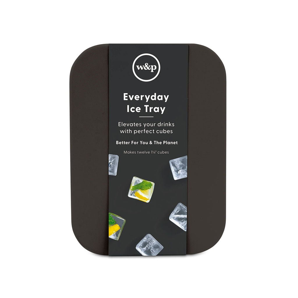 Everyday Ice Tray Boston General Store