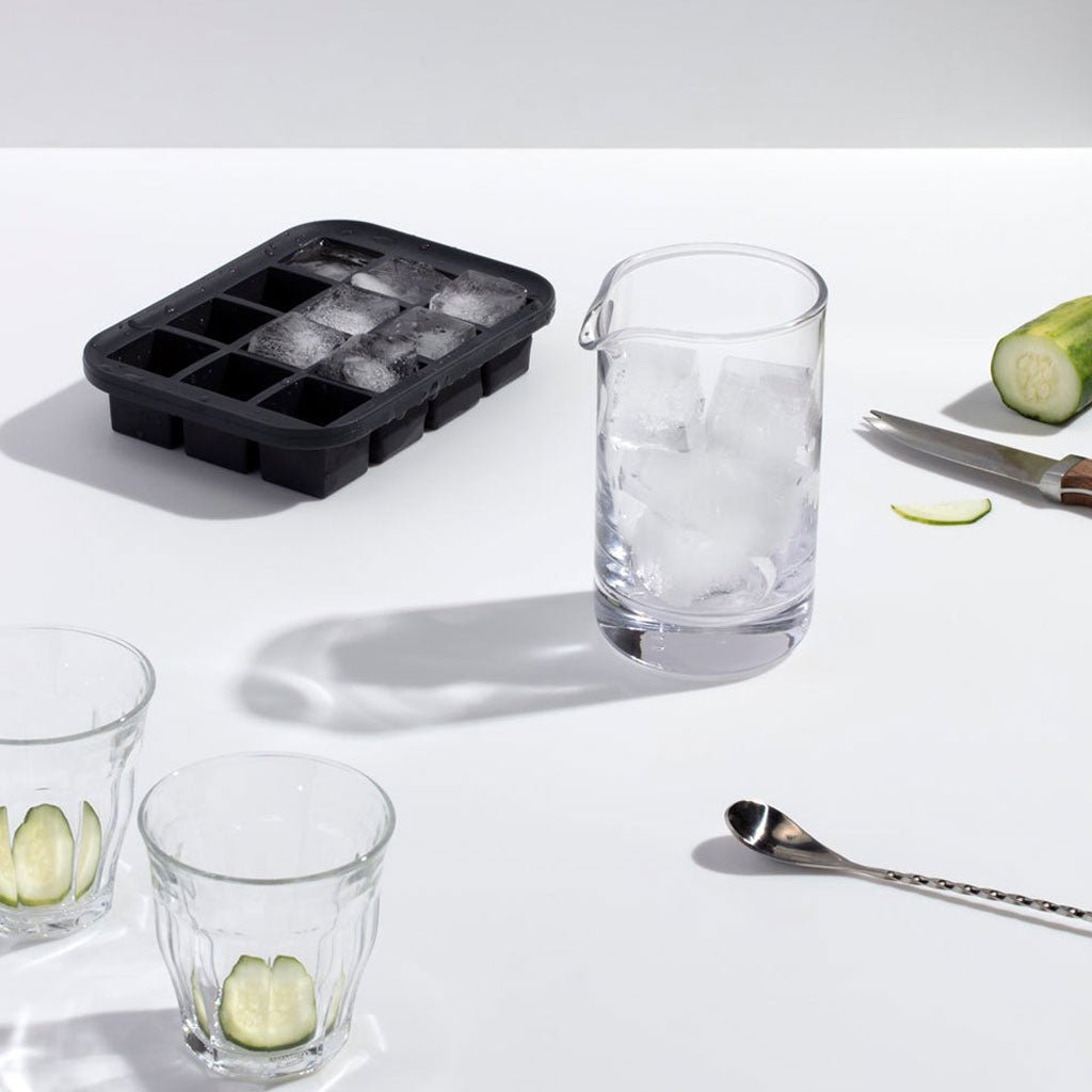 Everyday Ice Tray Boston General Store