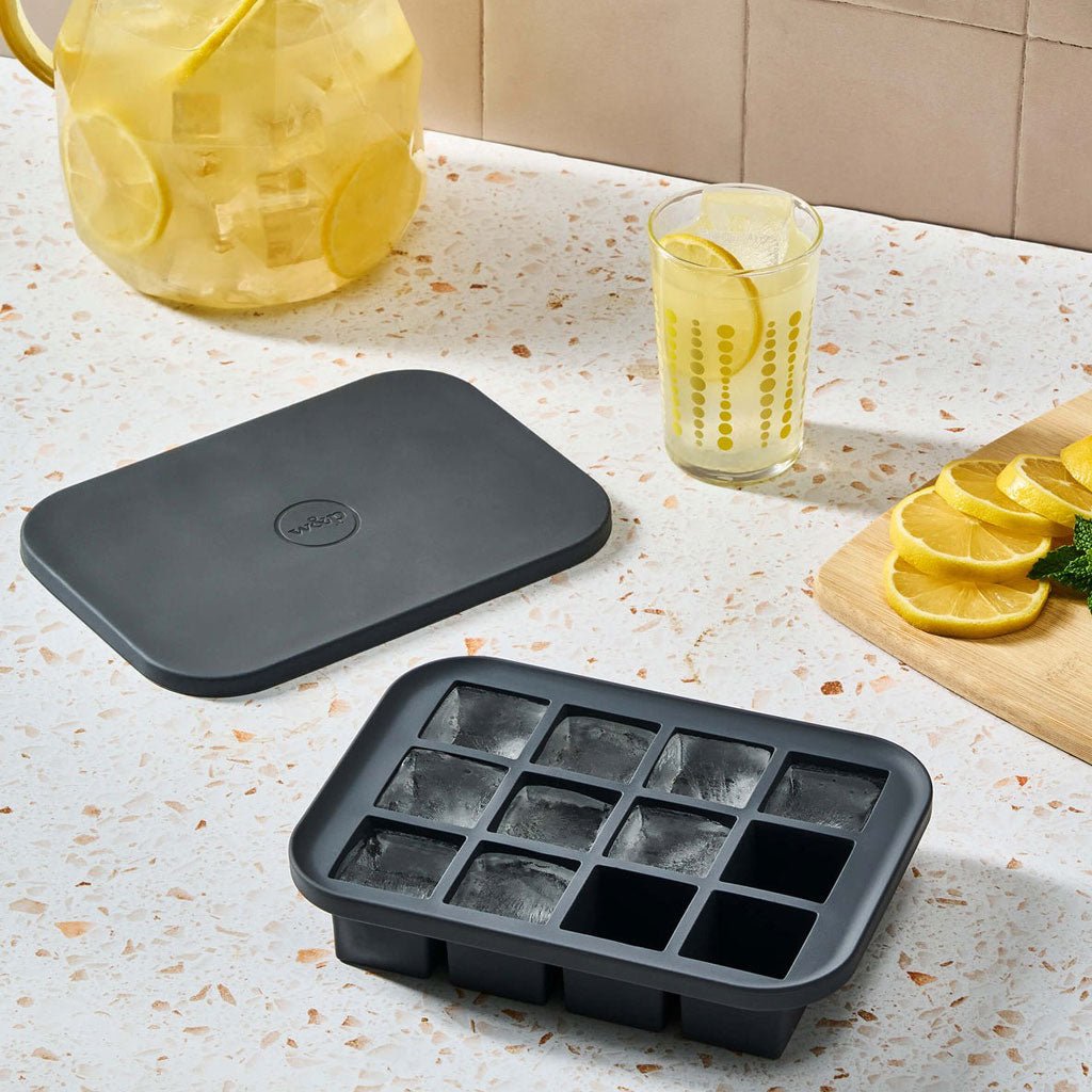 Everyday Ice Tray Boston General Store