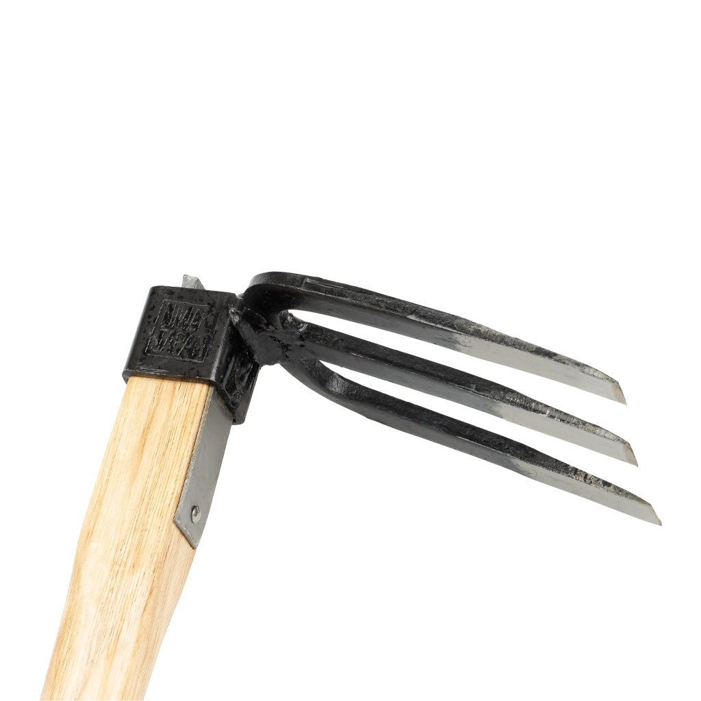 Three pronged forked hand hoe gardening tool with wooden handle on white background