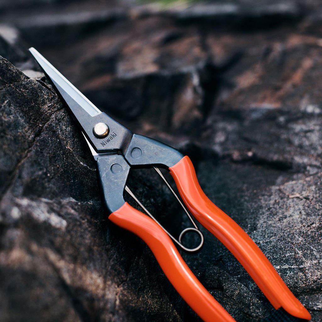 Steel garden snips with red rubberized grip handles on natural background