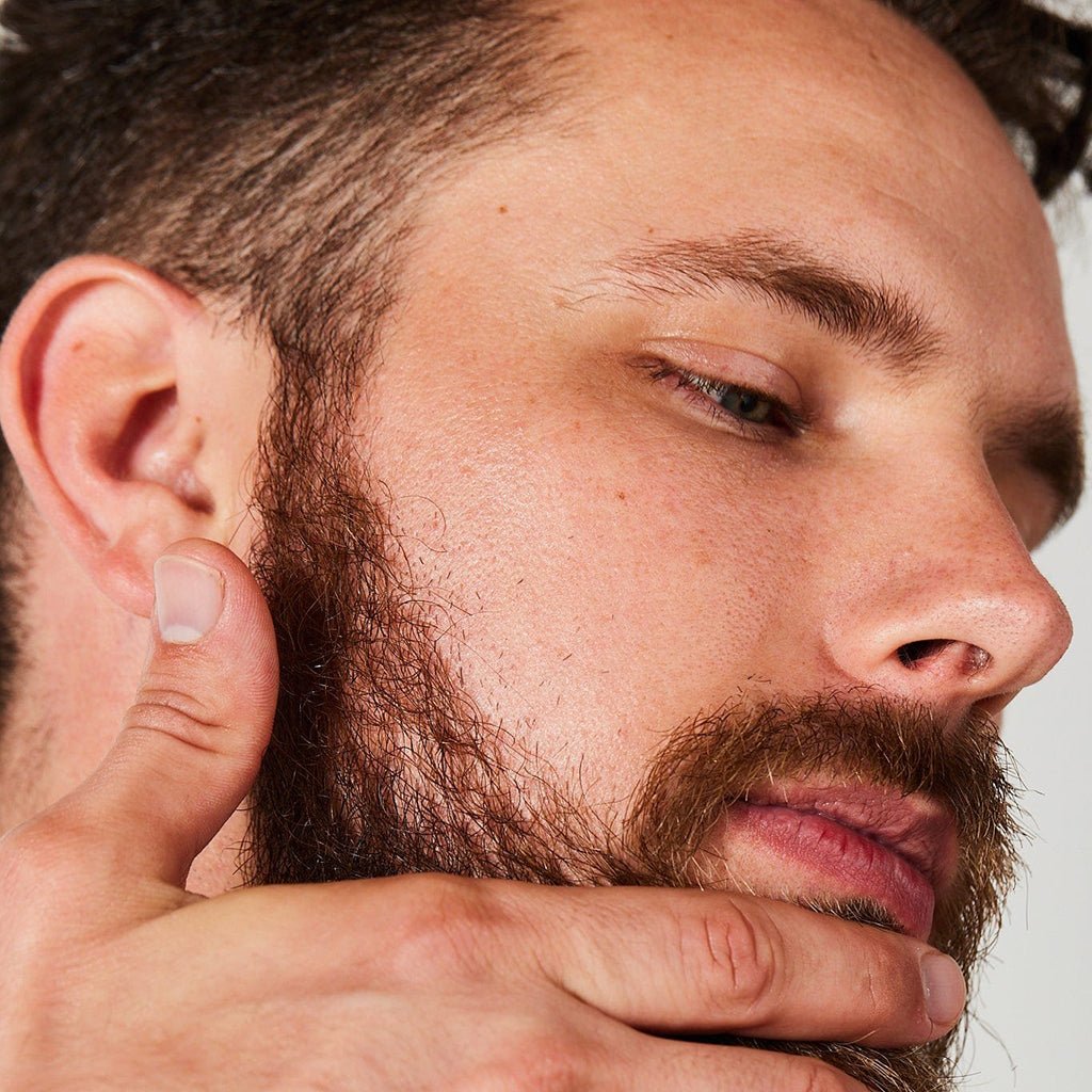 Hair Oil Frizz Control and Shine Boston General Store
