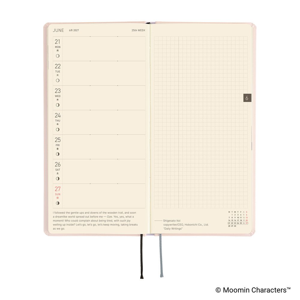 An open planner showing a weekly layout page with lined days on the left and a grid section on the right, photographed on a clean white background.