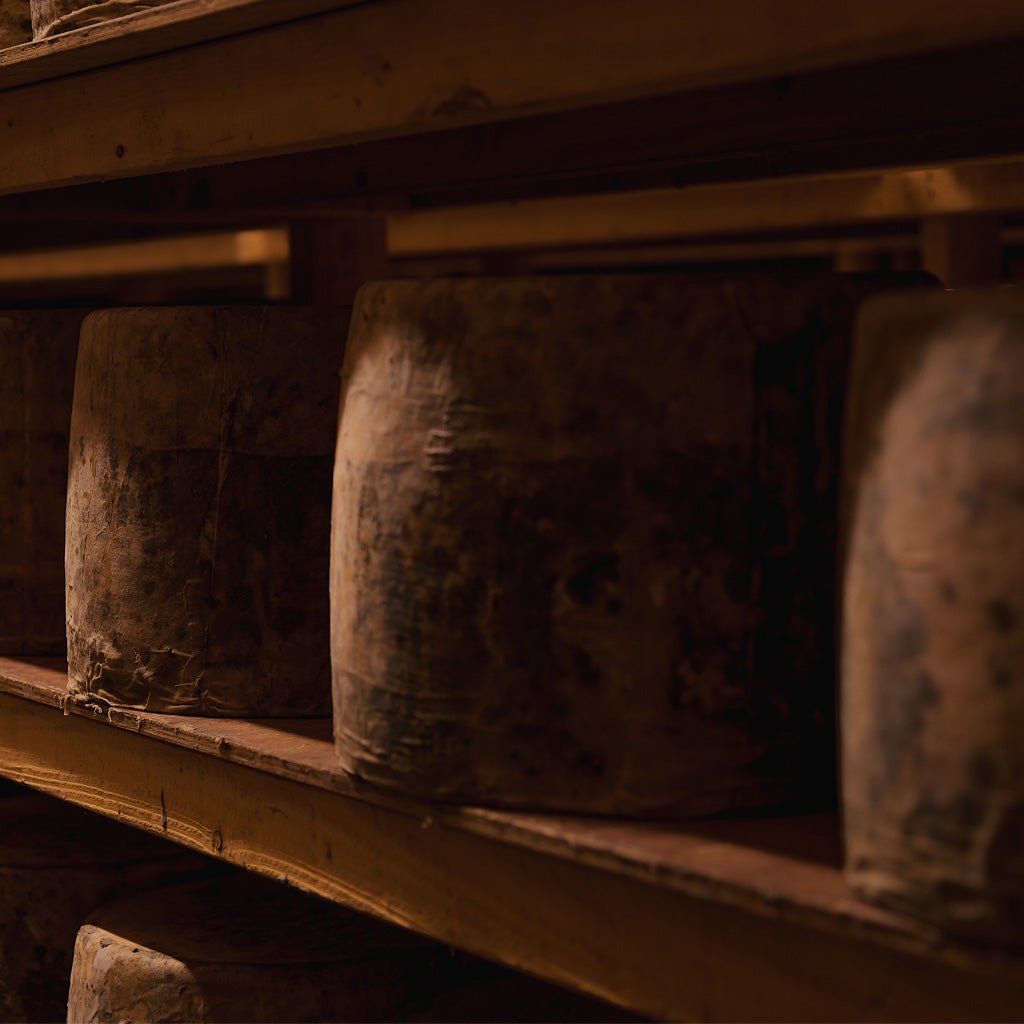 Close-up of wheels of cheese on wooden shelf.