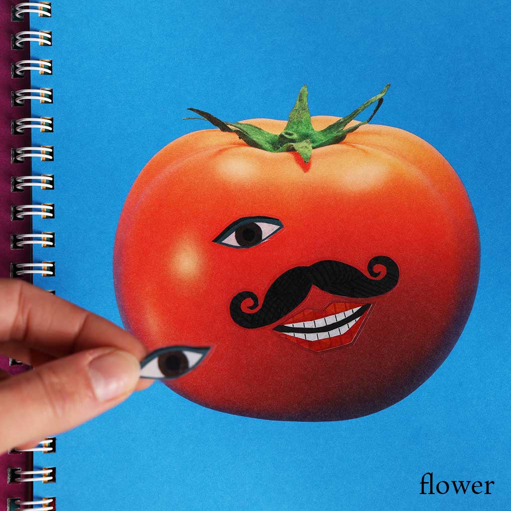 Kokuyo Make Faces Sticker Book Boston General Store