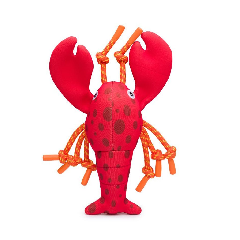 Lobster Floatie Dog Toy Boston General Store