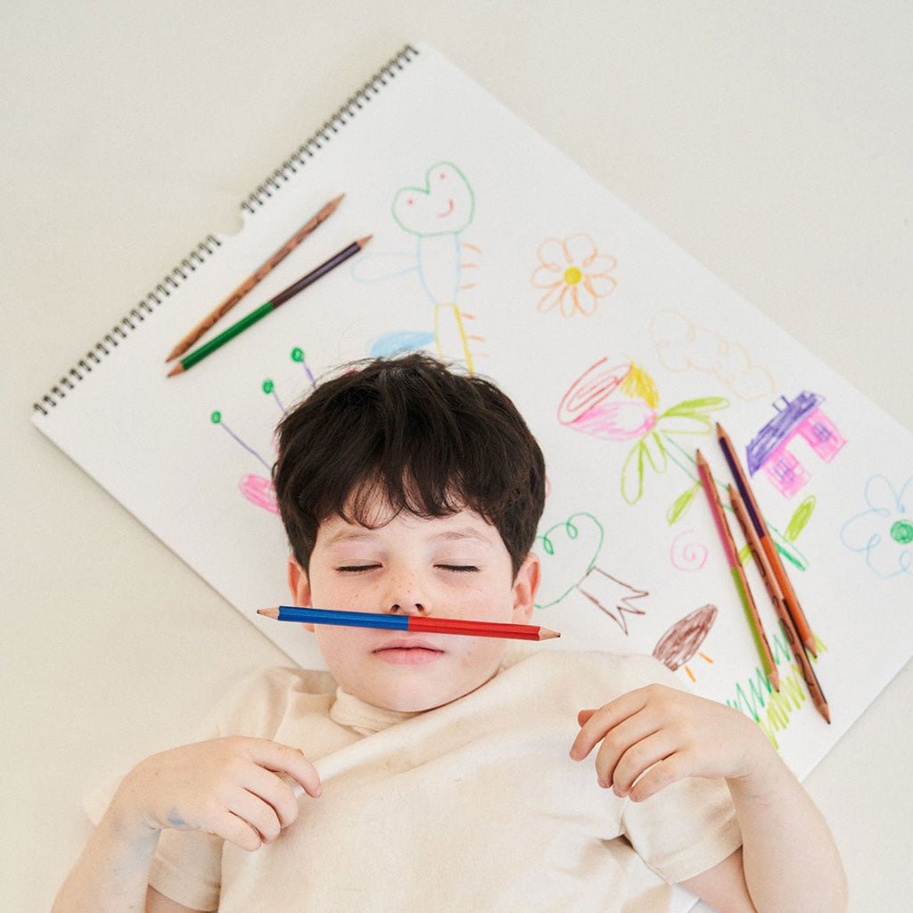 Monier's Dream Colored Pencils Boston General Store