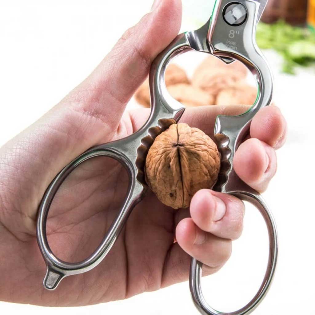 Hand holding a scissors cracking a walnut on a blurred background.