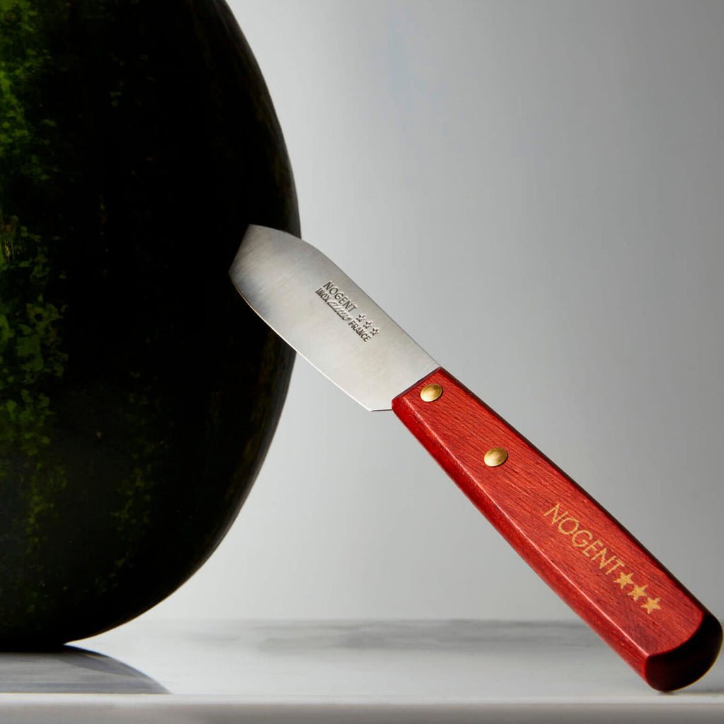 Nogent Multi - Purpose Kitchen & Garden Knife Boston General Store
