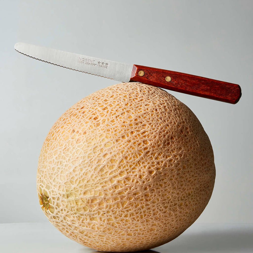 Nogent Table Knife, Set of 4 Boston General Store