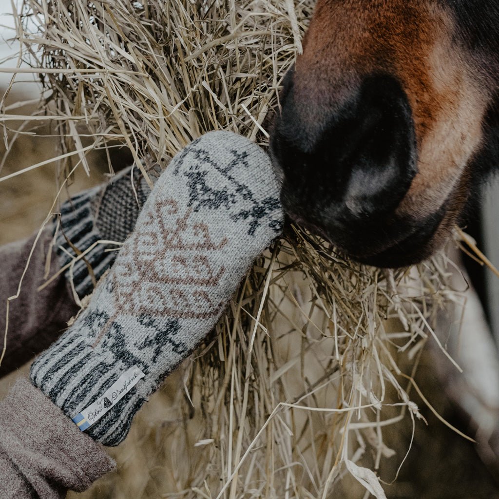 Hands wearing wool mittens feeding hay to a horse.