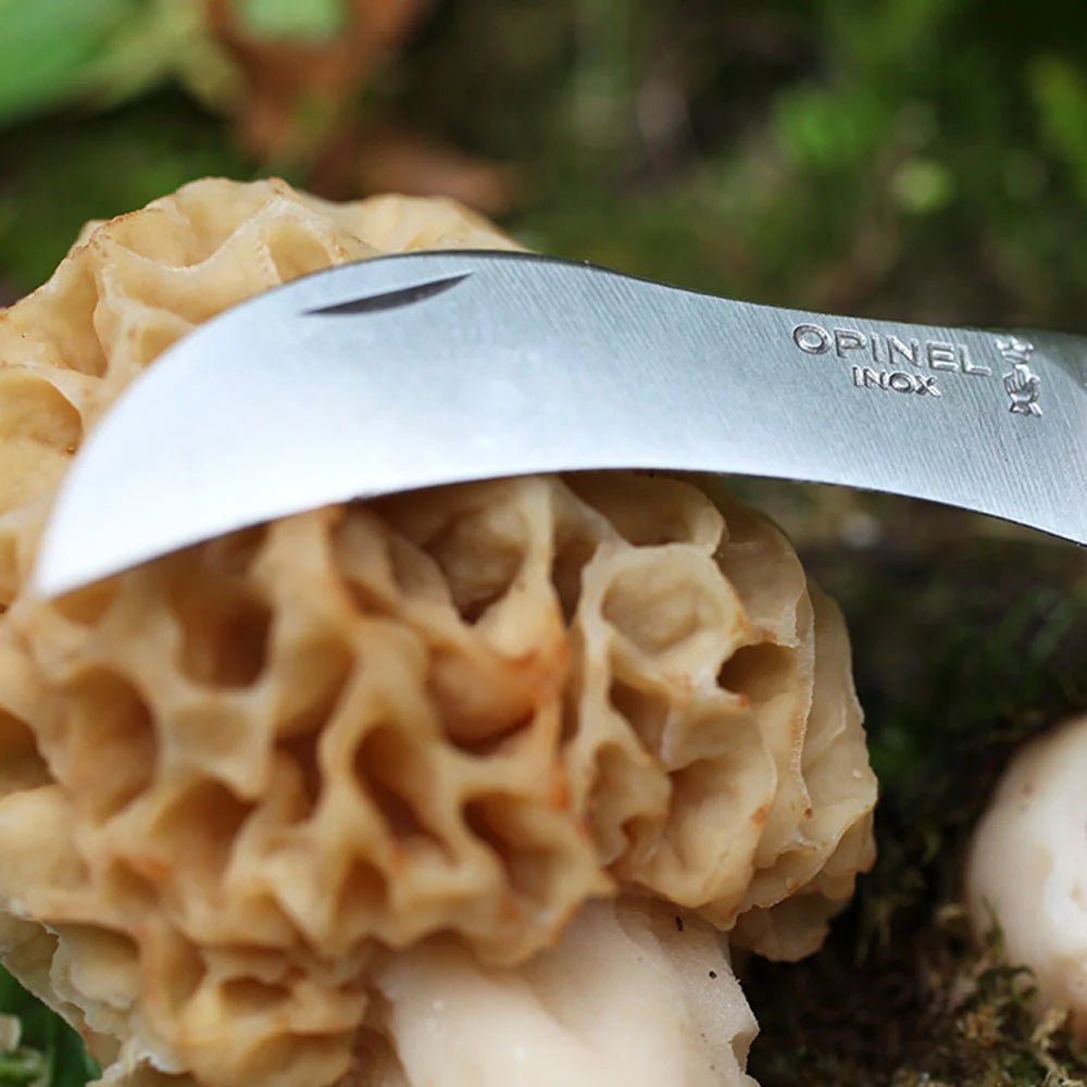 A close-up shot of a morel mushroom being sliced with a curved silver Opinel knife, set against a blurred green forest background.
