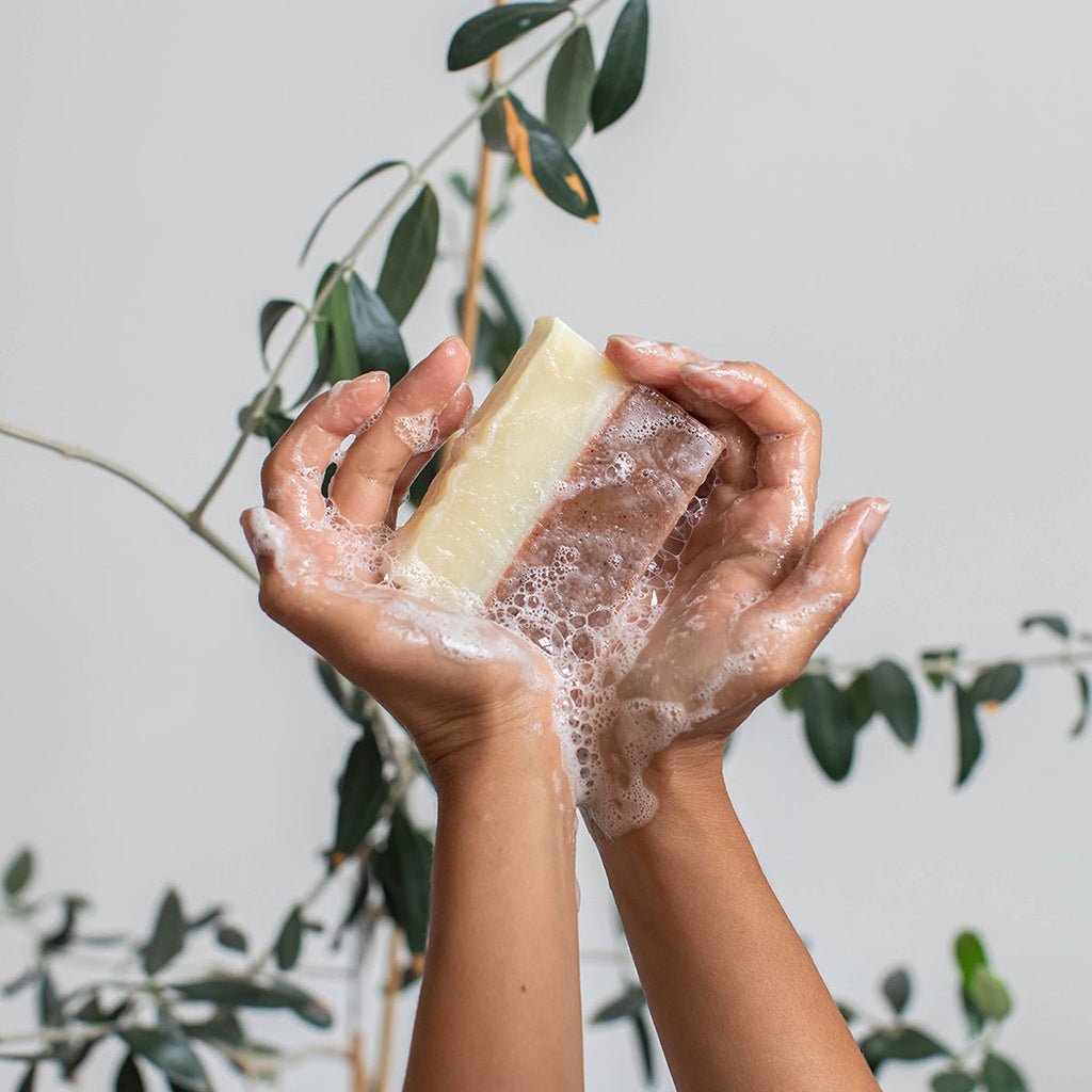 Hands holding a bar of soap with a plant in the background