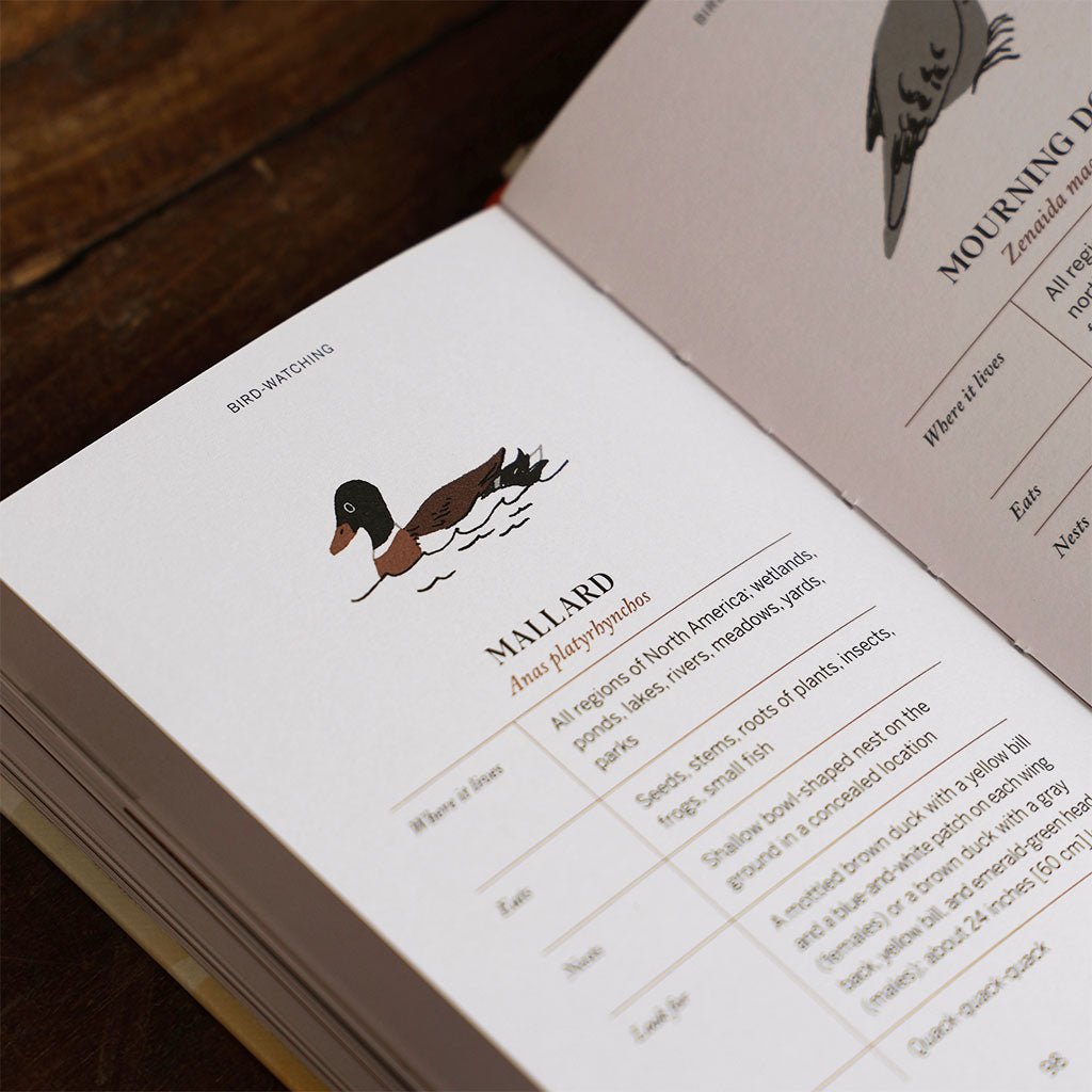 Pocket Nature: Birdwatching Boston General Store