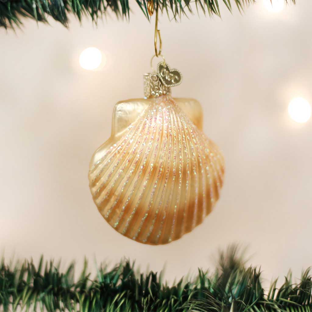 Scallop Shell Ornament Boston General Store