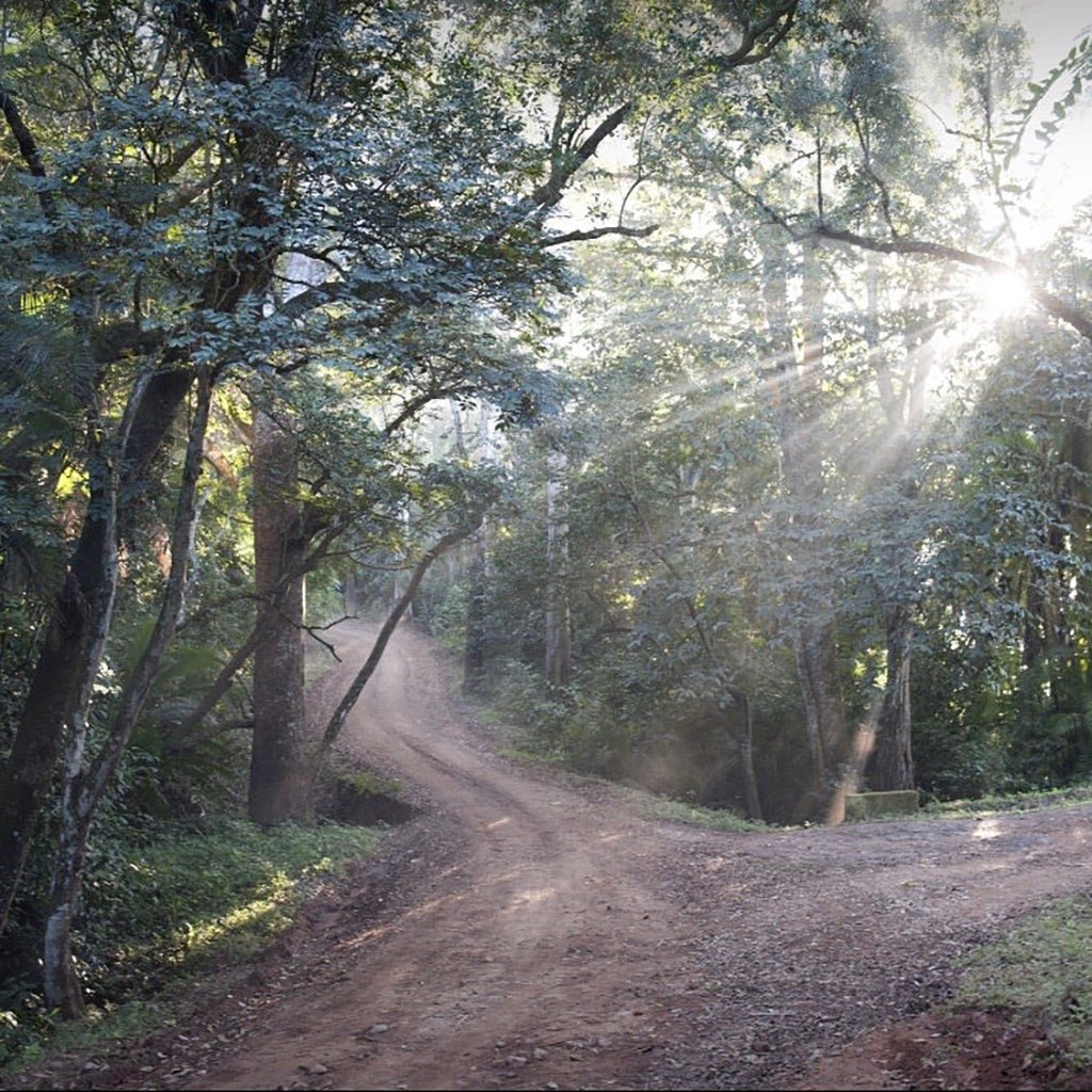 Shining Bright Malawian White Boston General Store