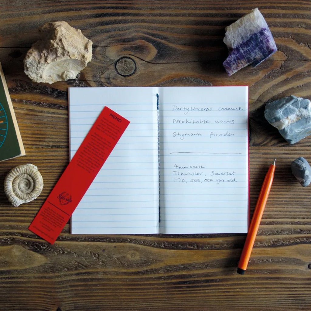 Lined notebook with writing on table next to rocks and shells