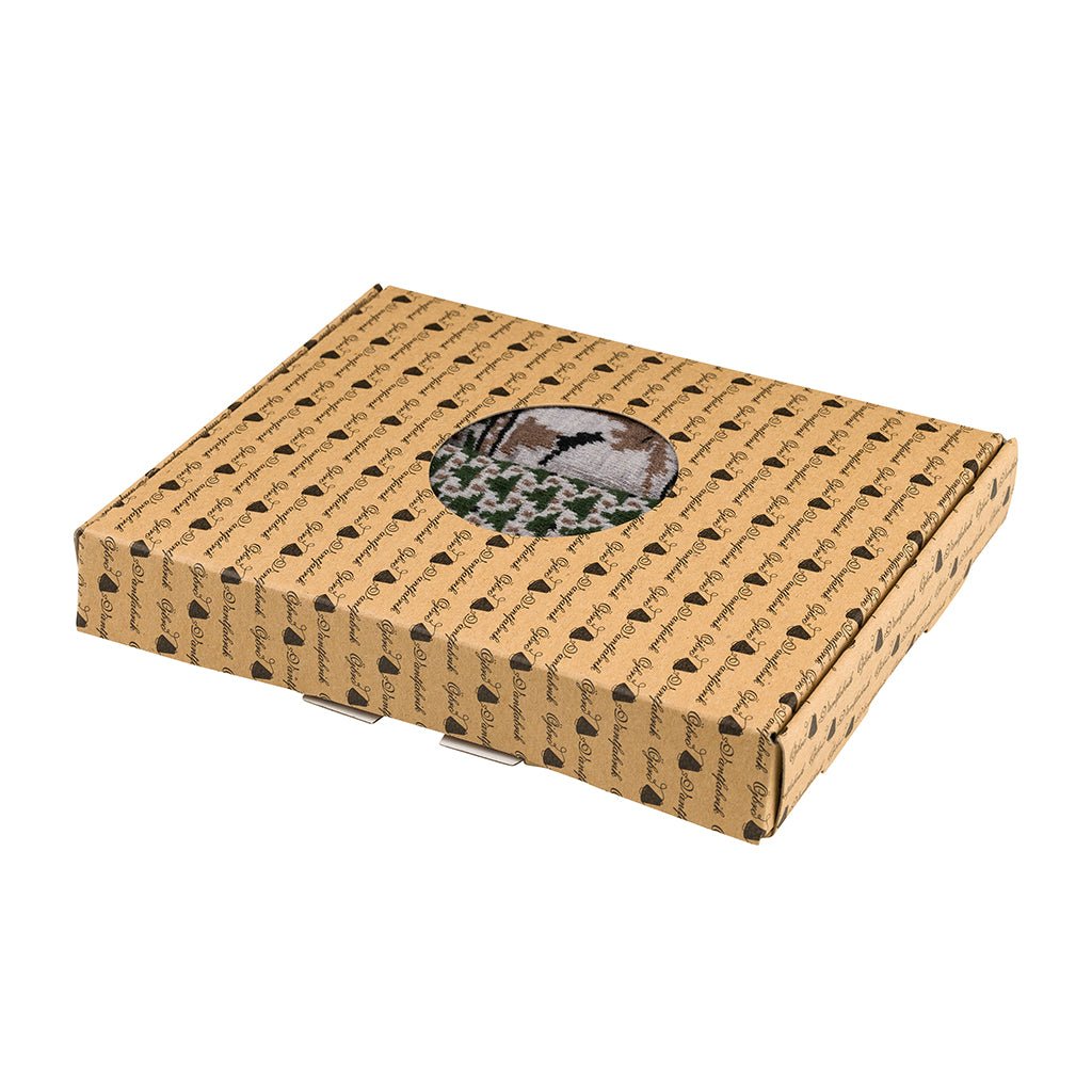 Skogen Merino Socks, 2 pack Boston General Store