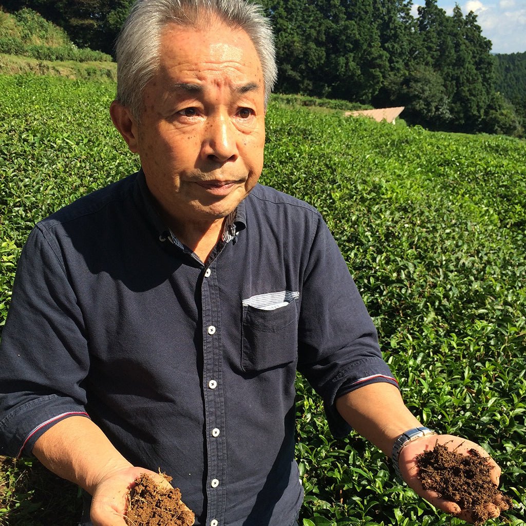 The Greenest Green Boston General Store