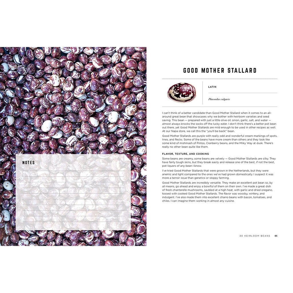 The Rancho Gordo Heirloom Bean Guide Boston General Store