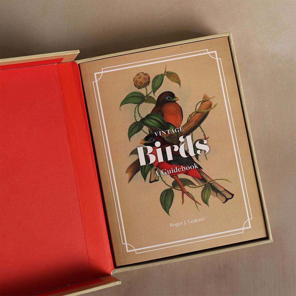 Vintage Birds: A Guidebook and Matching Game Boston General Store