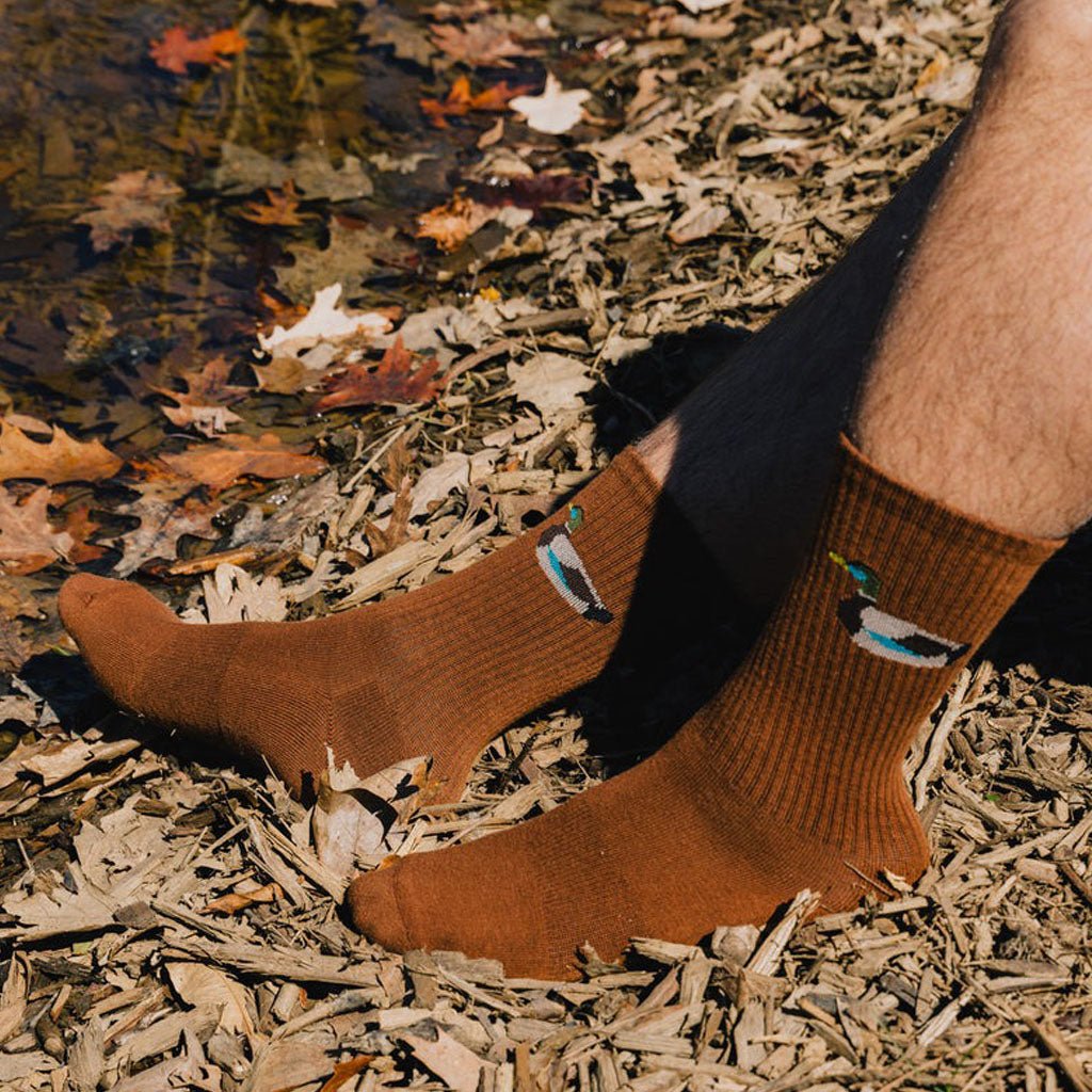 What the Duck? Sock Boston General Store