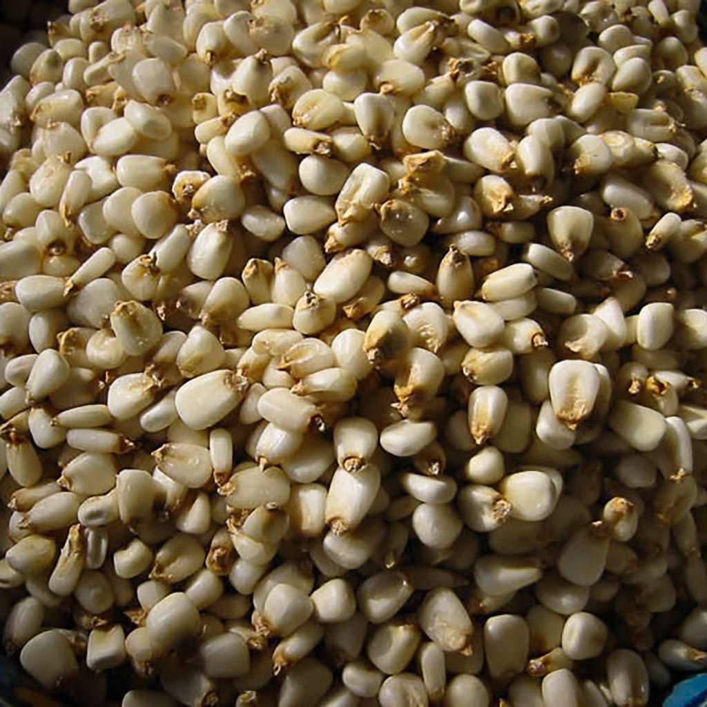 White Corn Posole/Prepared Hominy Boston General Store